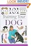 Training Your Dog (101 Essential Tips)