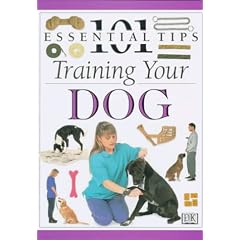 Training Your Dog (101 Essential Tips)