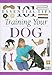 Book Training Your Dog (101 Essential Tips)