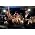 Vignette de Black Country Communion