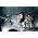 Thumbnail image of A Place to Bury Strangers