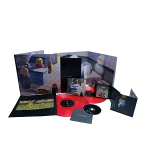 Image de Sunny Day Real Estate