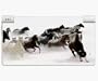 Snow Mountain Horses Decorative Protector Skin Decal Sticker for Nintendo DSi