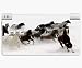 Snow Mountain Horses Decorative Protector Skin Decal Sticker for Nintendo DSi