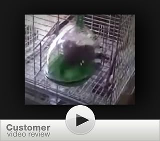 Click to watch this video
