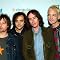 Fountains of Wayne