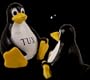 Tux - The Linux Penguin Official Open Source Mascot REDUCED!