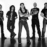 Image of Accept