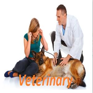 Veterinarian