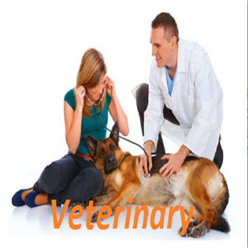 Veterinary