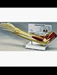 Muscled Elbow Joint Model