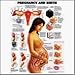 Pregnancy and Birth 3D Raised Relief Chart