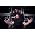 Vignette de Symphony X