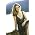 Vignette de Dar Williams