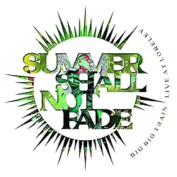 Big Big Train - Summer Shall Not Fade [Blu-ray]