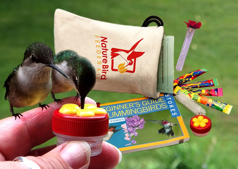 Amazon.com : Hummingbird Hand-Feeding Kit: Deluxe Edition ...