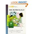 Instant Notes in Microbiology