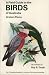 Book A Field Guide to the Birds of Australia
