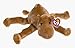 TY Beanie Buddy - HUMPHREY the Camel