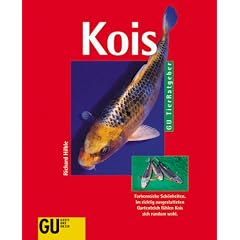 Kois. Farbenreiche Sch�nheiten. Im richtigen ausgestatteten Gartenteich f�hlen Kois sich rundum wohl