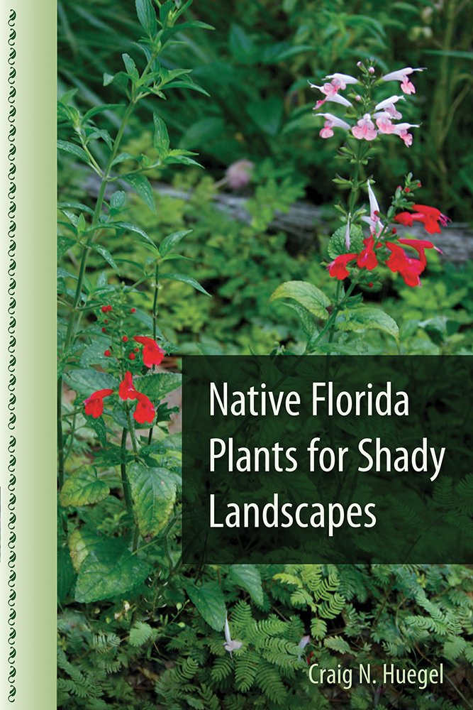 Attracting Hummingbirds and Butterflies in Tropical Florida: A ...