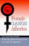 Female Gangs in America: Essays on Girls, Gangs and Gender