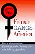 Female Gangs in America: Essays on Girls, Gangs and Gender
