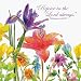 Creative Converting Watercolor Garden Rejoice in the Lord 2-Ply Lunch Napkin - 240 Count