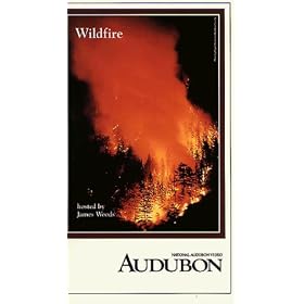 Wildfire [VHS]