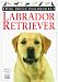 Dog Breed Handbooks: Labrador Retriever