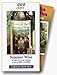 VHS : Last of the Summer Wine [Collection Set]