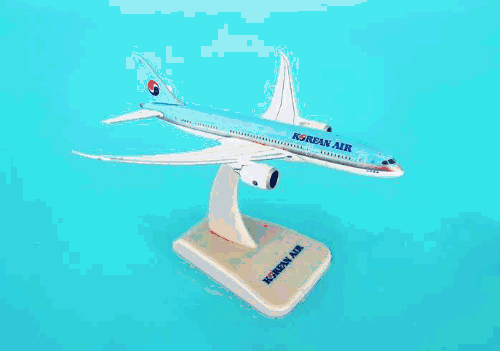 1/500 B787-8 大韓航空 飛行姿勢/脚ナシ (8249)