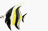Review Quay  / Moorish Idol Fish - 4D Puzzle