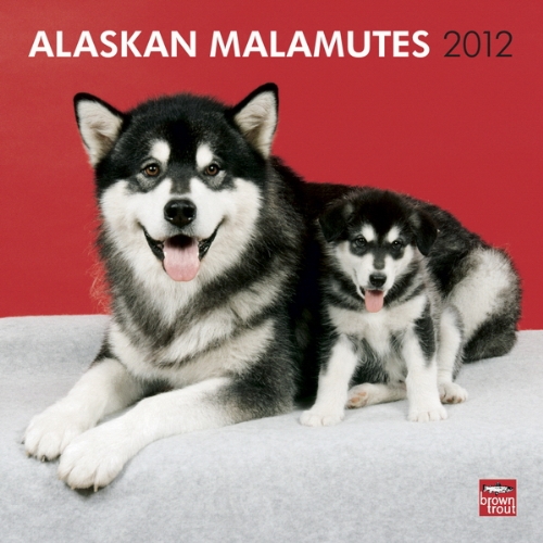 Alaskan Malamutes 2012 Square (Multilingual Edition)