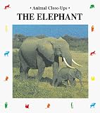 The Elephant