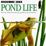 Pond Life (Look Closer)