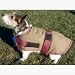 Sporting Goods : High Spirit Waterproof Insulated Dog Blanket