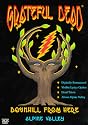 The Grateful Dead - Downhill From Here