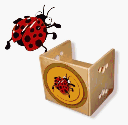 Hatched Egg 10205 Melville Chair Ladybug - Orange