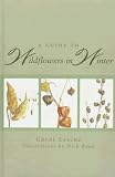 A Guide To Wildflowers In Winter : Herbaceous Plants Of  Northeastern North America