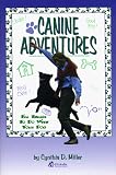 Canine Adventures: Fun Things to Do With Your Dog