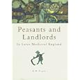 Peasants and Landlords in Later Medieval England (Sutton History Paperbacks) by E. B. Fryde