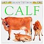 See How They Grow: Calf