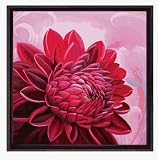 Hand Painted- Magenta Dahlia- 11.5x11.5 in. Framed Artwork