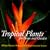Tropical Plants for Home and Garden