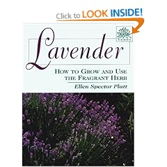 Lavender: How to Grow and Use the Fragrant Herb