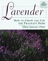 Lavender: How to Grow and Use the Fragrant Herb