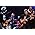 Thumbnail image of Jeff Beck