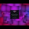 Artist Video