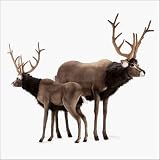 Hansa Ride-On Reindeer Stuffed Plush Animal, Large
